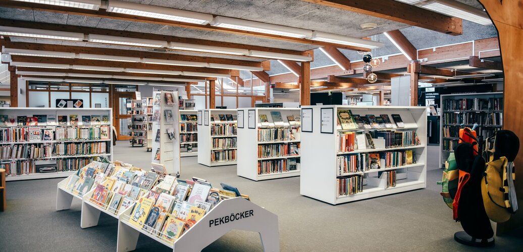 Sjöbo bibliotek
